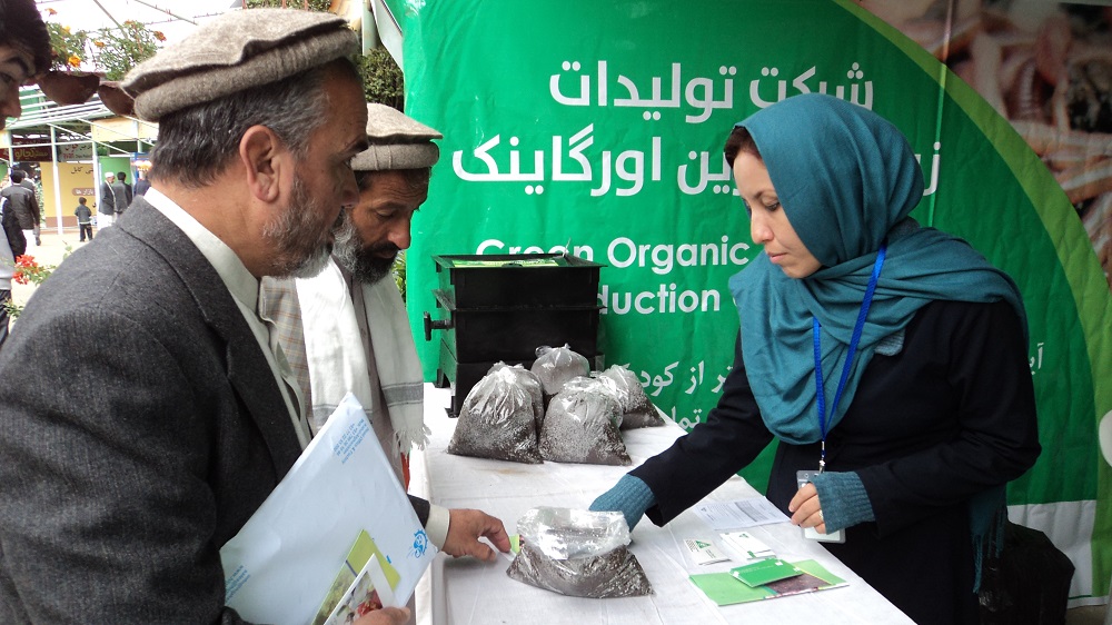 Zolfaghari, Hakima- Biz Pic 1